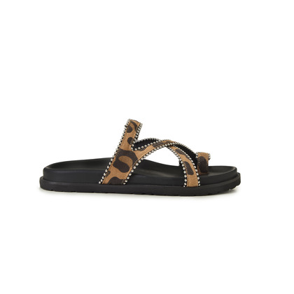 V266 LEOPARD